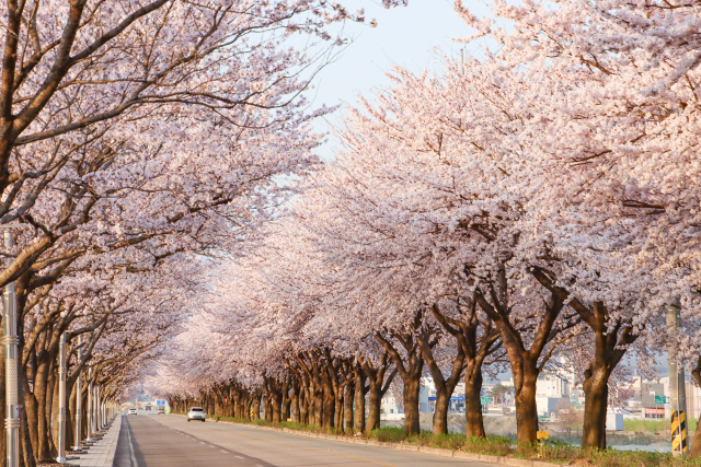 봄 · Spring